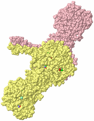 Image Biological Unit 2