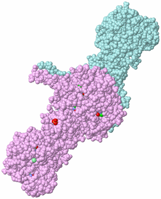 Image Biological Unit 3