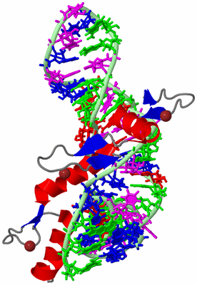 Image NMR Structure - model 1