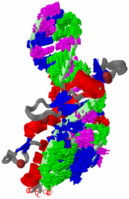 Image NMR Structure - all models