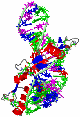 Image NMR Structure - model 1, sites