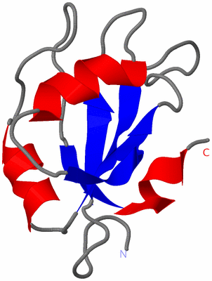 Image NMR Structure - model 1