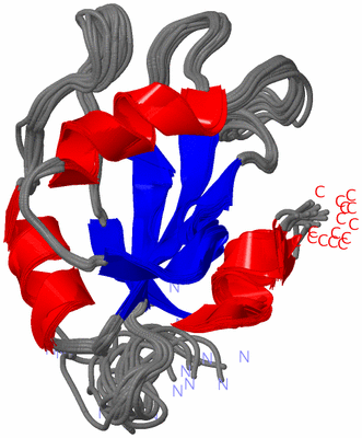 Image NMR Structure - all models