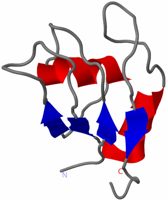 Image NMR Structure - model 1