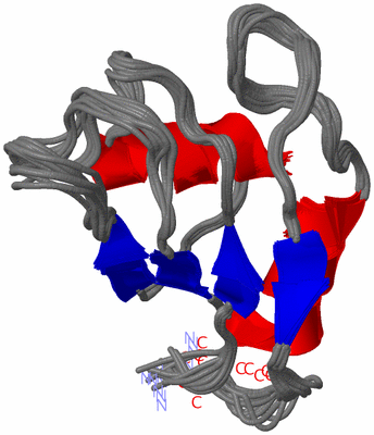 Image NMR Structure - all models