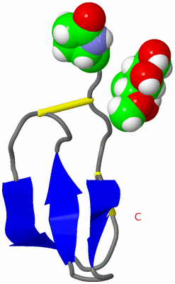 Image NMR Structure - model 1