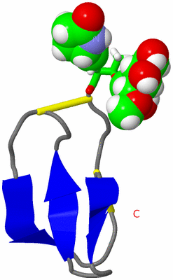 Image NMR Structure - model 1, sites