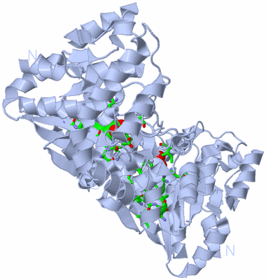 Image Biol. Unit 1 - sites