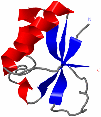 Image NMR Structure - model 1