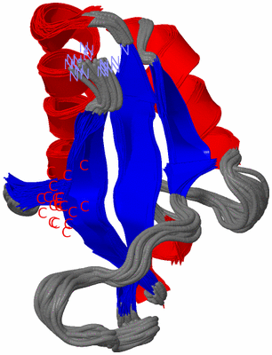 Image NMR Structure - all models