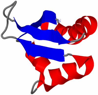 Image NMR Structure - model 1