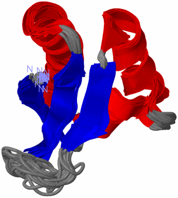 Image NMR Structure - all models