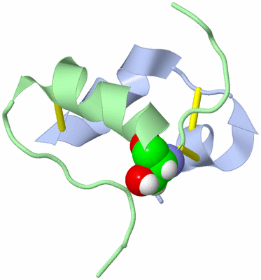 Image NMR Structure - model 1