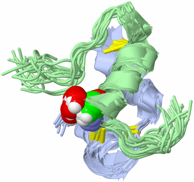 Image NMR Structure - all models