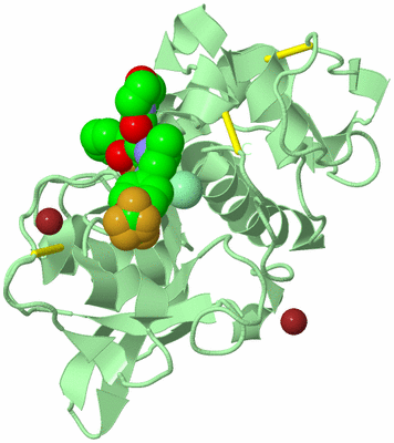 Image Biological Unit 1