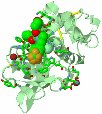 Image Biol. Unit 1 - sites