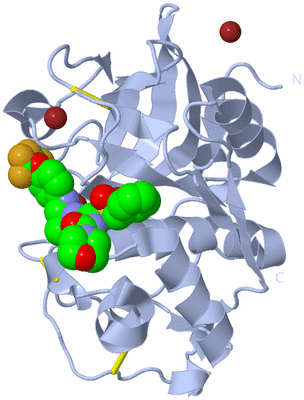 Image Biological Unit 2