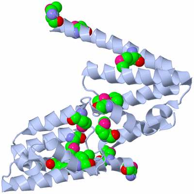 Image Biological Unit 1