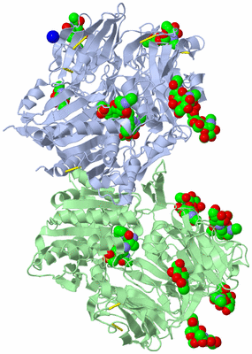 Image Asym./Biol. Unit