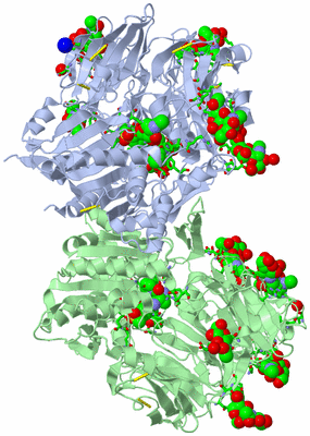 Image Asym./Biol. Unit - sites