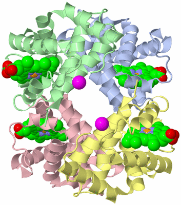 Image Asym./Biol. Unit