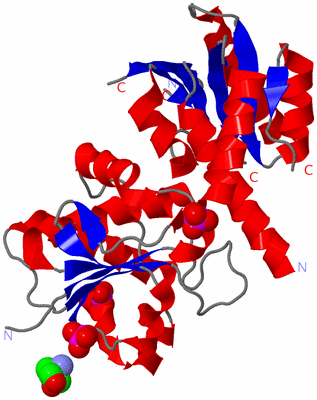 Image Asym./Biol. Unit