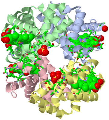 Image Asym./Biol. Unit - sites