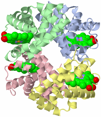 Image Asym./Biol. Unit