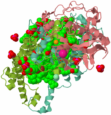 Image Asym./Biol. Unit