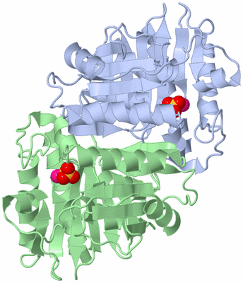 Image Asym./Biol. Unit