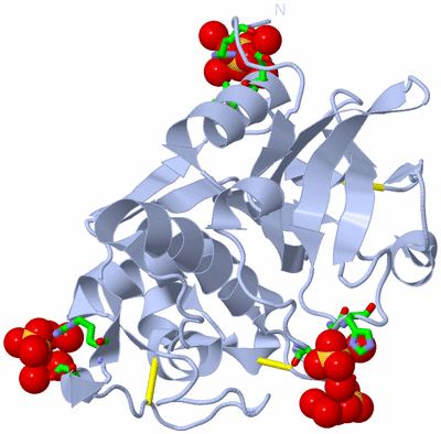 Image Biol. Unit 1 - sites