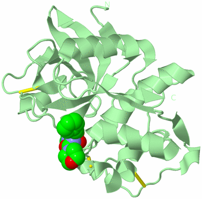 Image Biological Unit 2