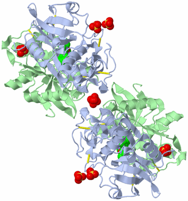 Image Biological Unit 3