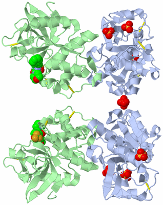 Image Biological Unit 4