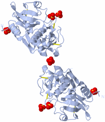 Image Biological Unit 5