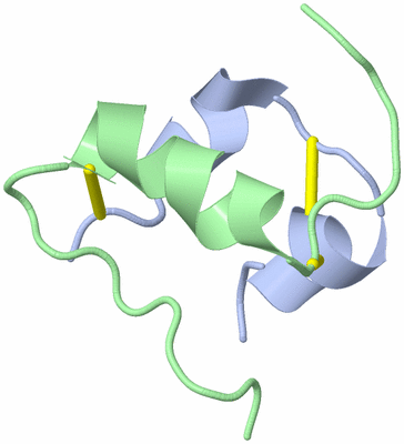 Image NMR Structure - model 1