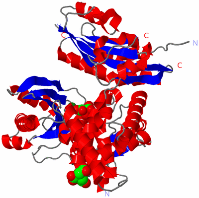 Image Asym./Biol. Unit