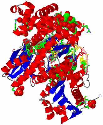 Image Asym./Biol. Unit - sites