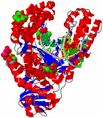 Image Asym./Biol. Unit