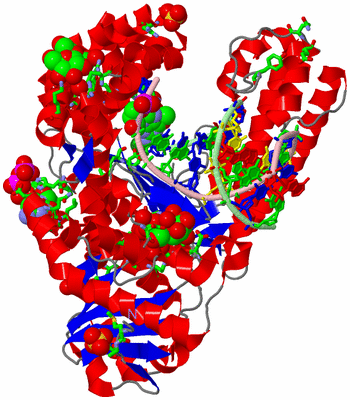 Image Asym./Biol. Unit - sites