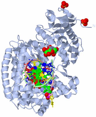 Image Biological Unit 1