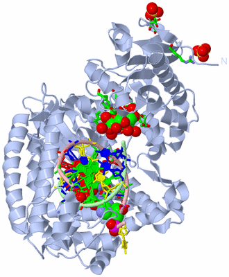 Image Biol. Unit 1 - sites