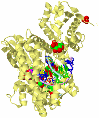 Image Biological Unit 2