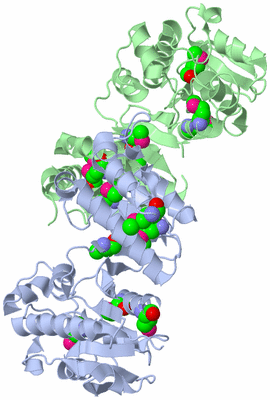 Image Asym./Biol. Unit