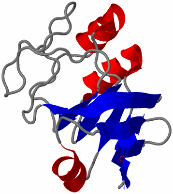 Image NMR Structure - model 1