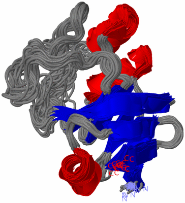 Image NMR Structure - all models