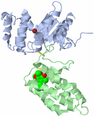 Image Biological Unit 1