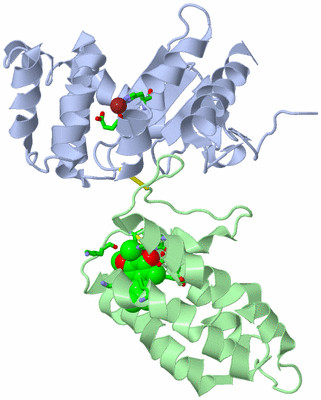 Image Biol. Unit 1 - sites