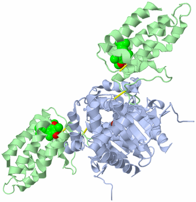 Image Biological Unit 2