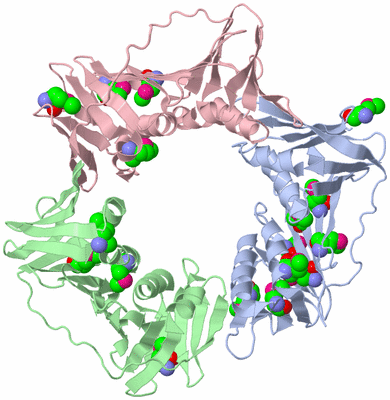 Image Biological Unit 1